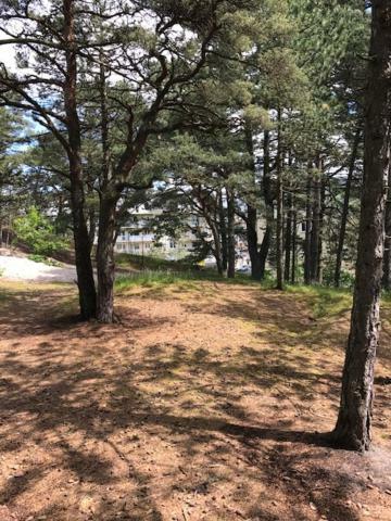 Apartament Ustecka Ostoja Na Wydmie 乌斯特卡 外观 照片